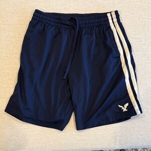American Eagle Outfitters Navy Athletic Shorts with White Stripes